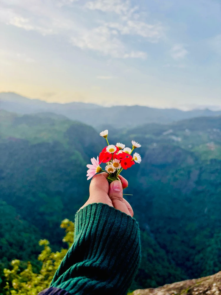 GIF uploaded by Archana