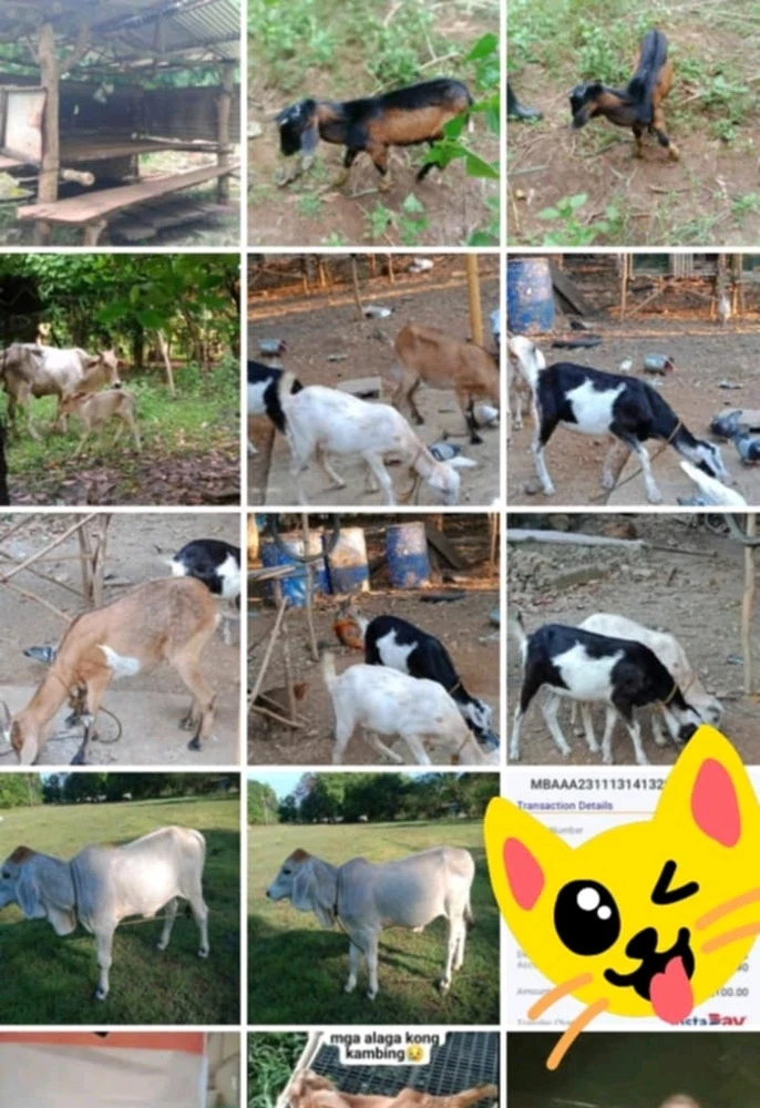Image uploaded by Normz