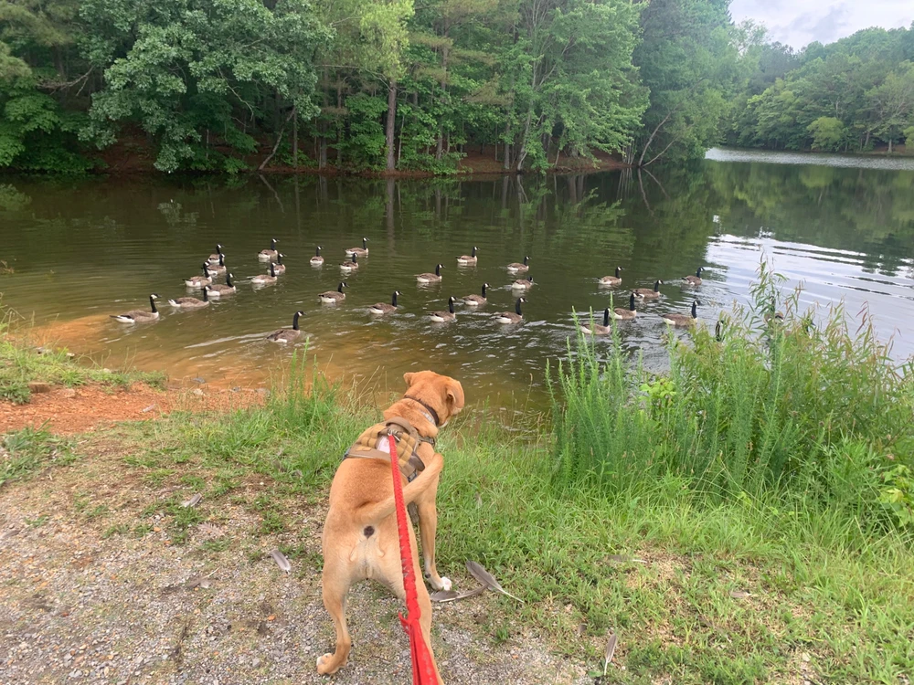 GIF diunggah dening Christopher