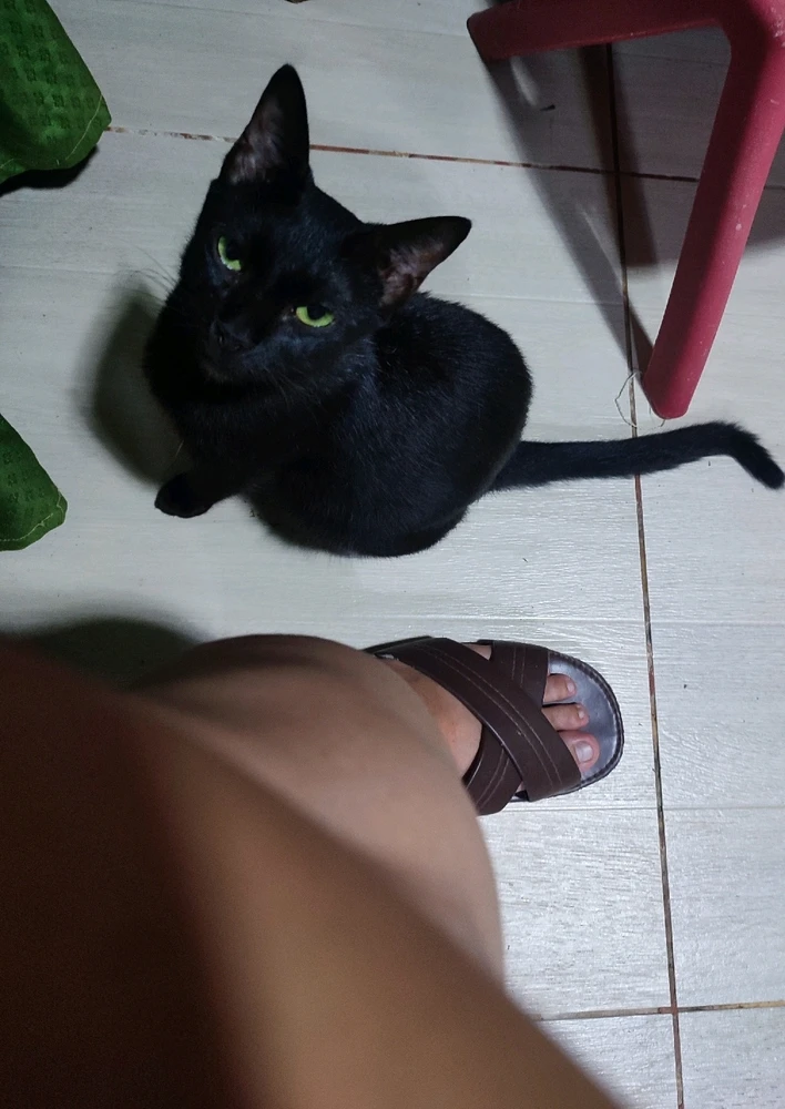 GIF uploaded by Arlene