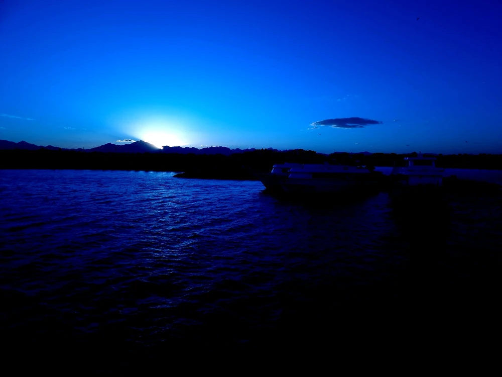 Image uploaded by Martin