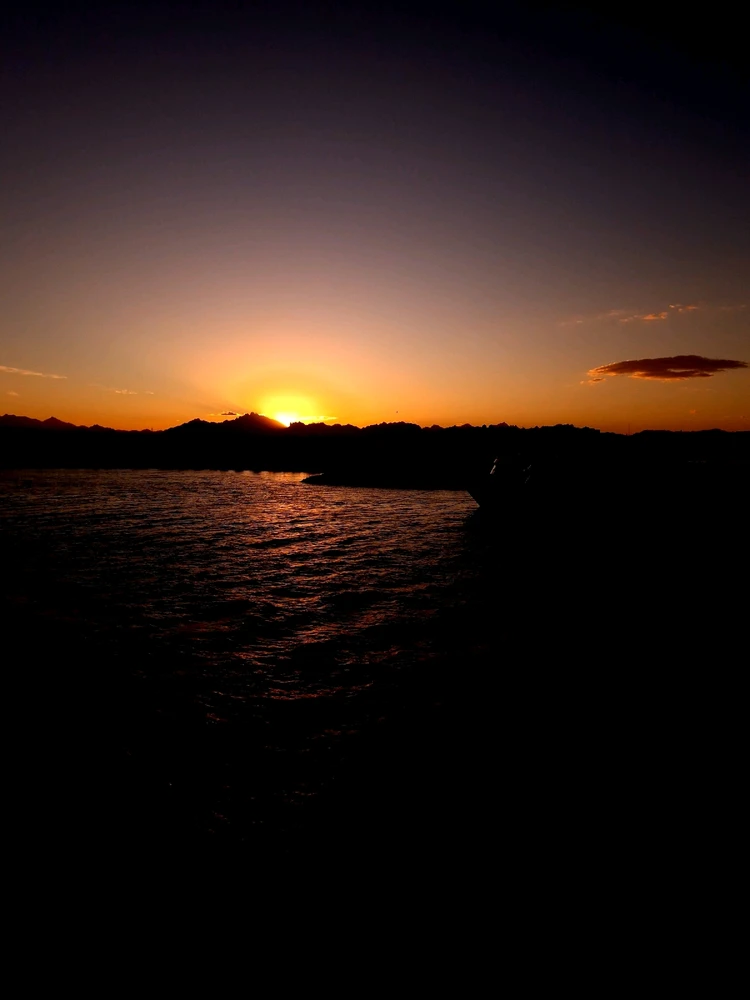 Image uploaded by Martin