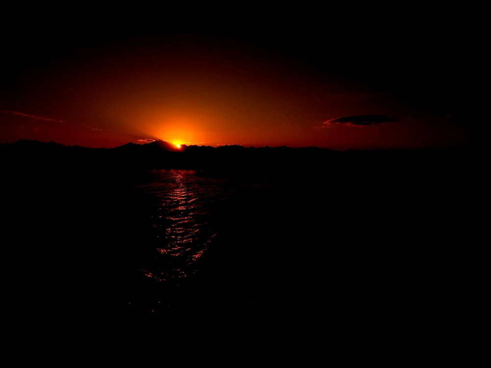 Image uploaded by Martin