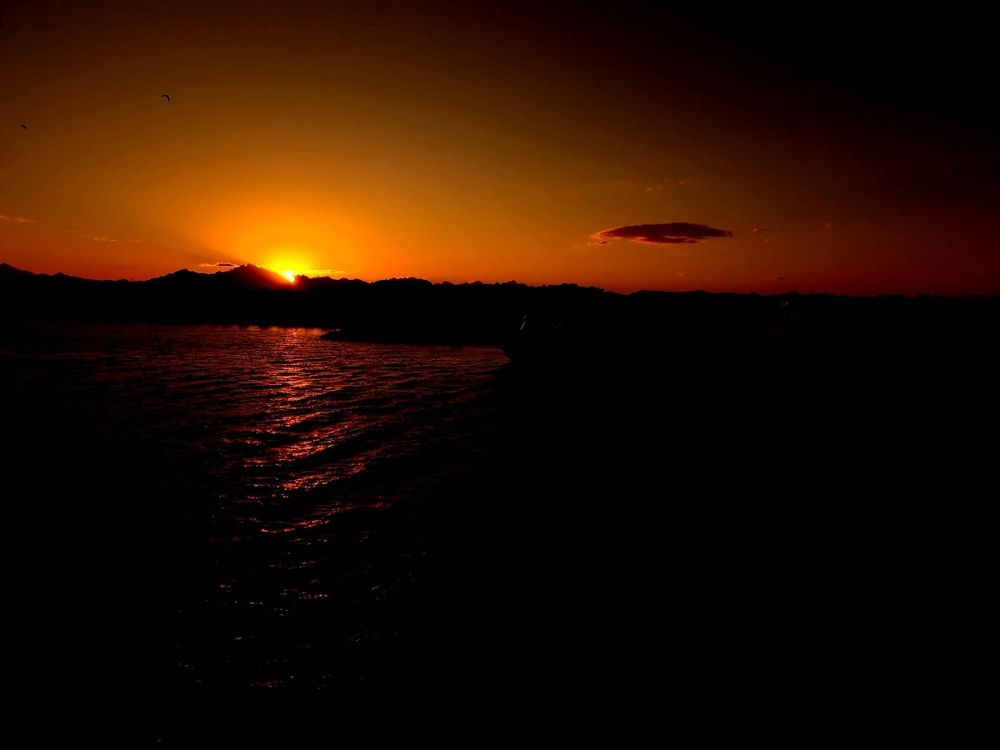 Image uploaded by Martin