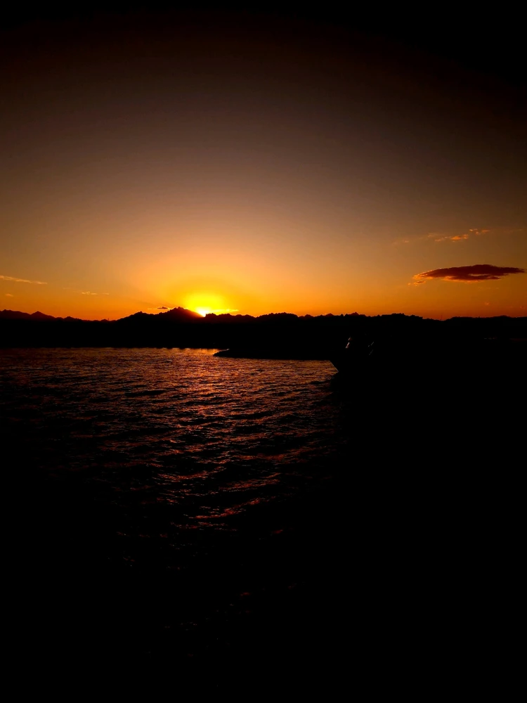 Image uploaded by Martin