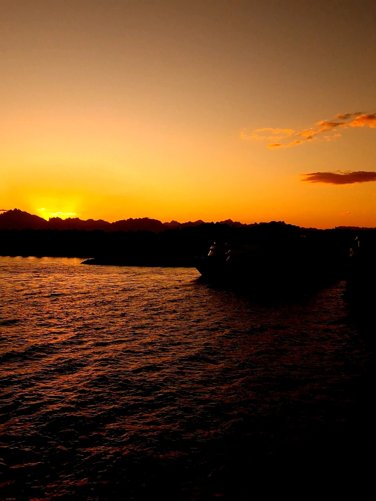 Image uploaded by Martin