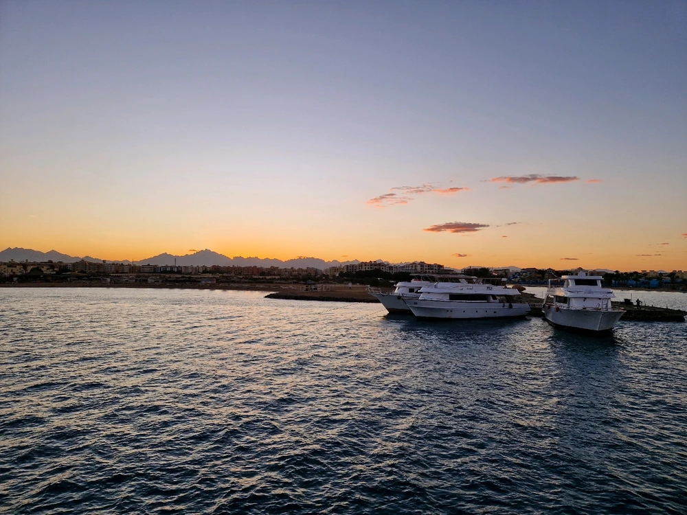 Image uploaded by Martin