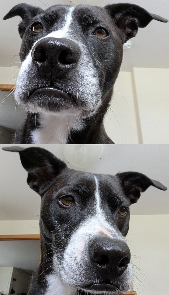 Gambar diunggah dening Joseph