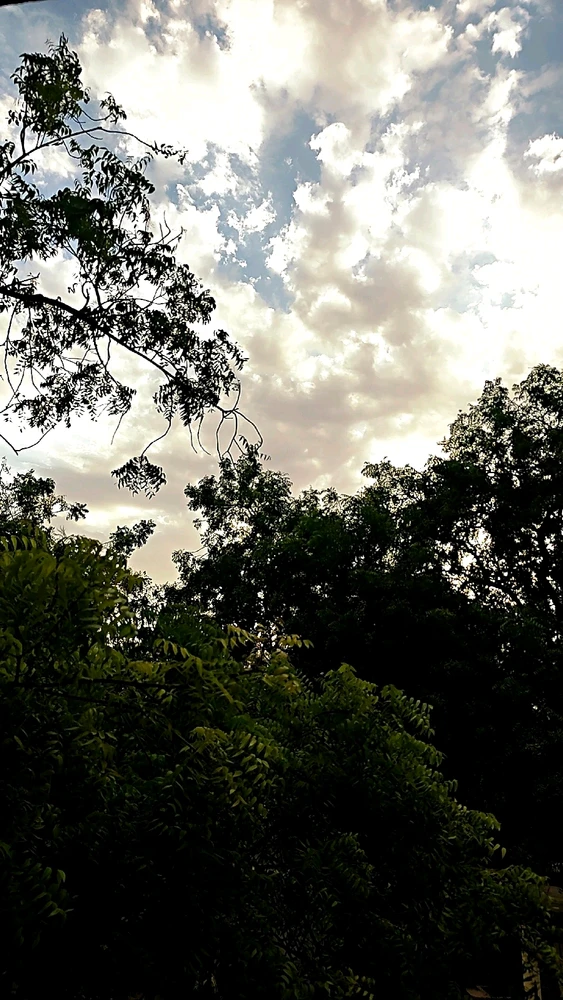 A द्वारा अपलोड किया गया GIF