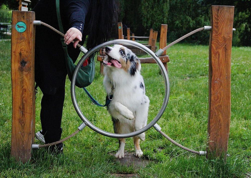 Obrázek nahrál Karolína