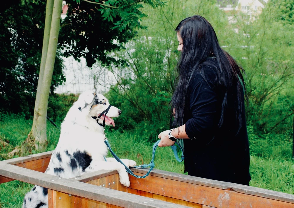 Obrázek nahrál Karolína