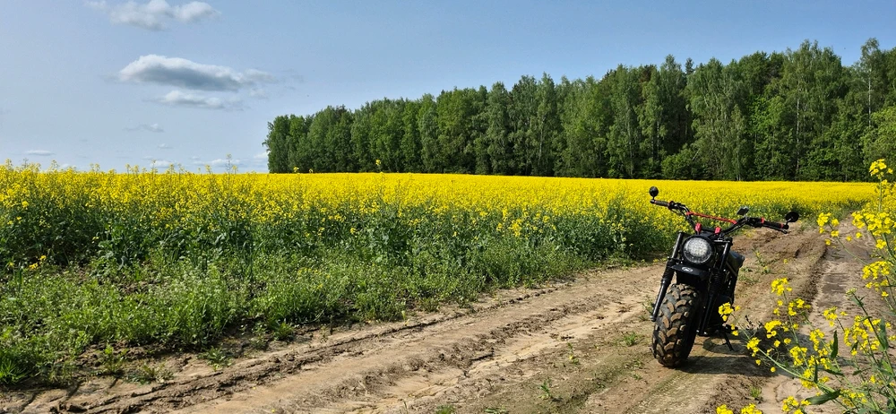 Лясная вандроўка