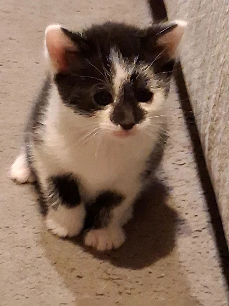 GIF uploaded by Nicky