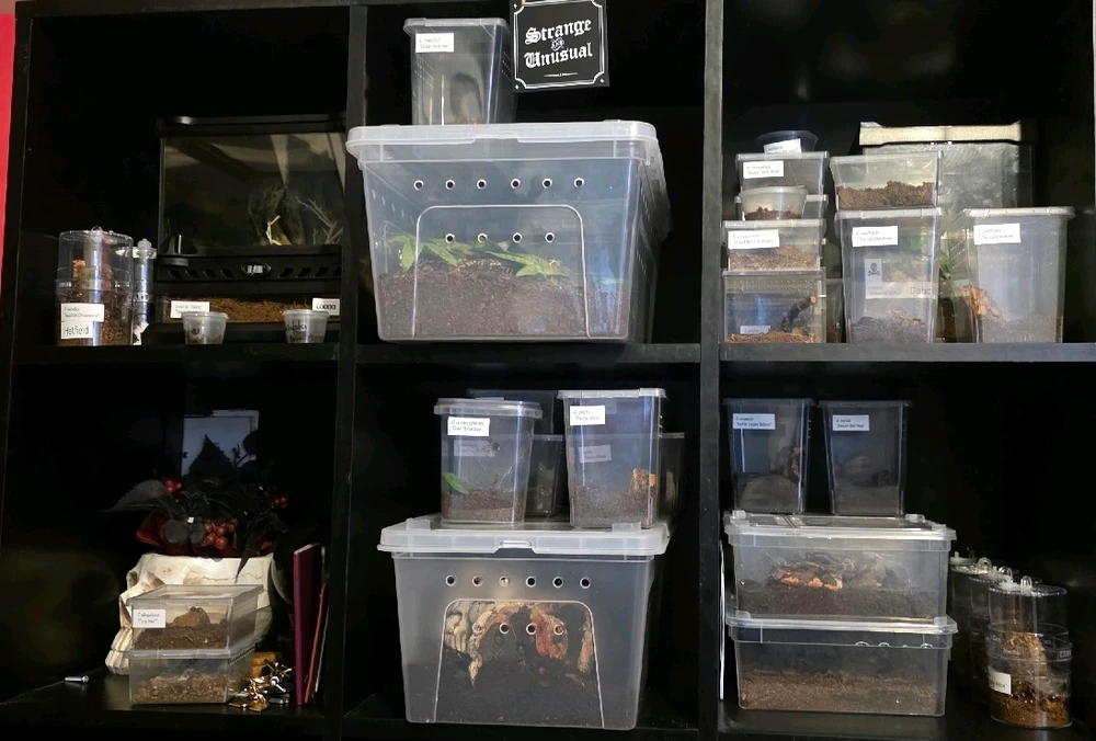 GIF uploaded by Nicky