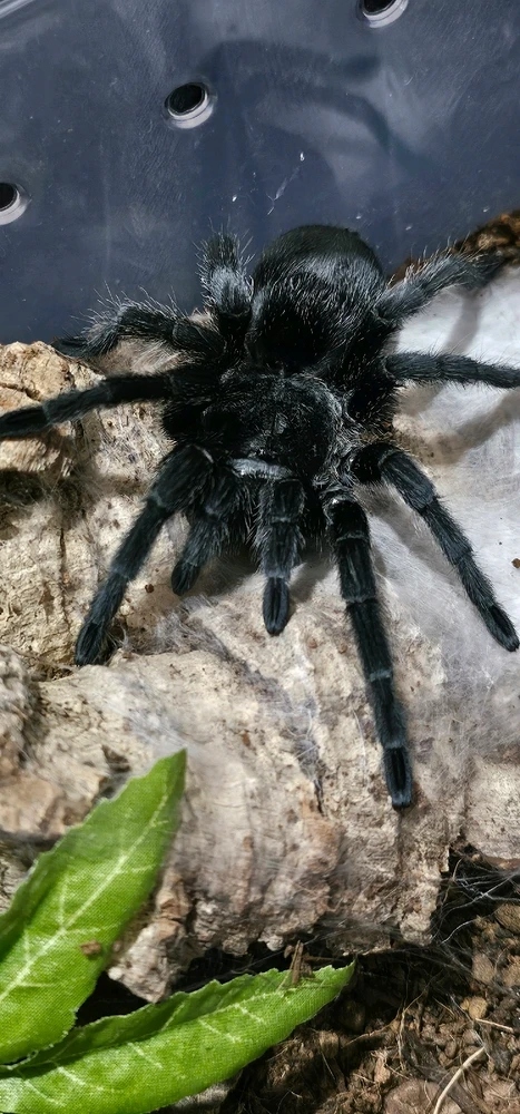 GIF uploaded by Nicky