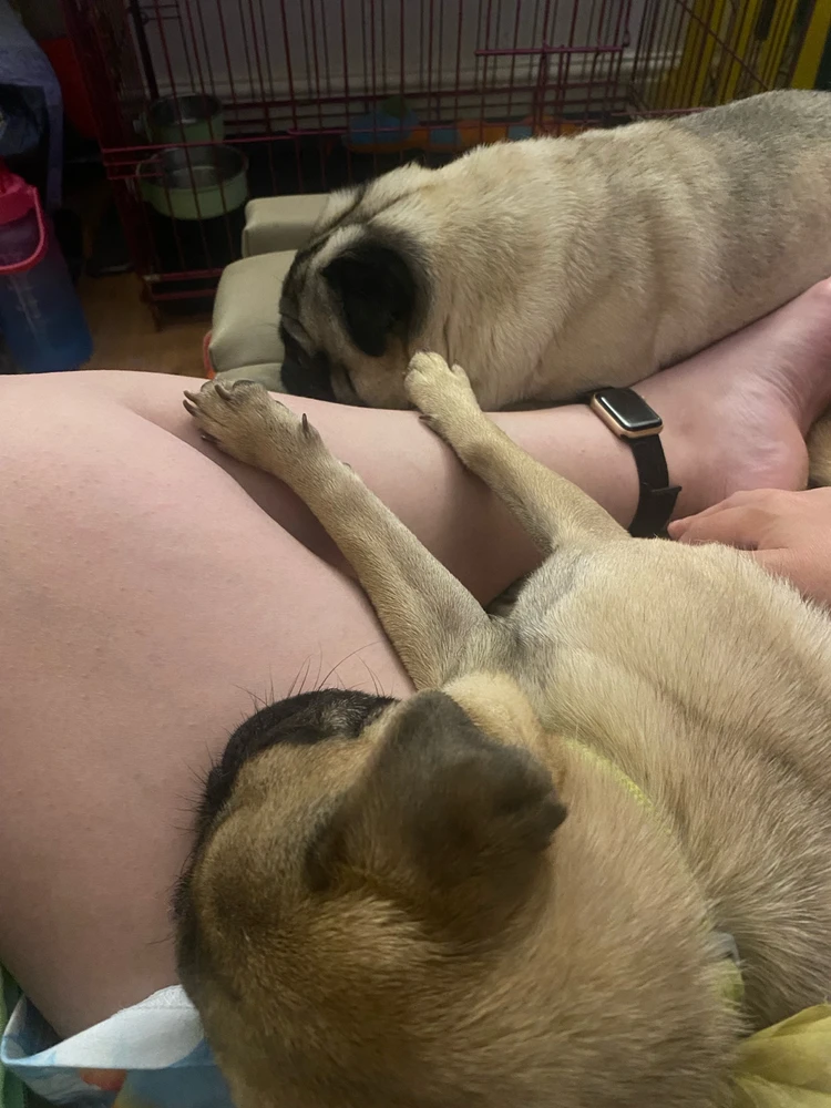 GIF uploaded by Debbie 🏴