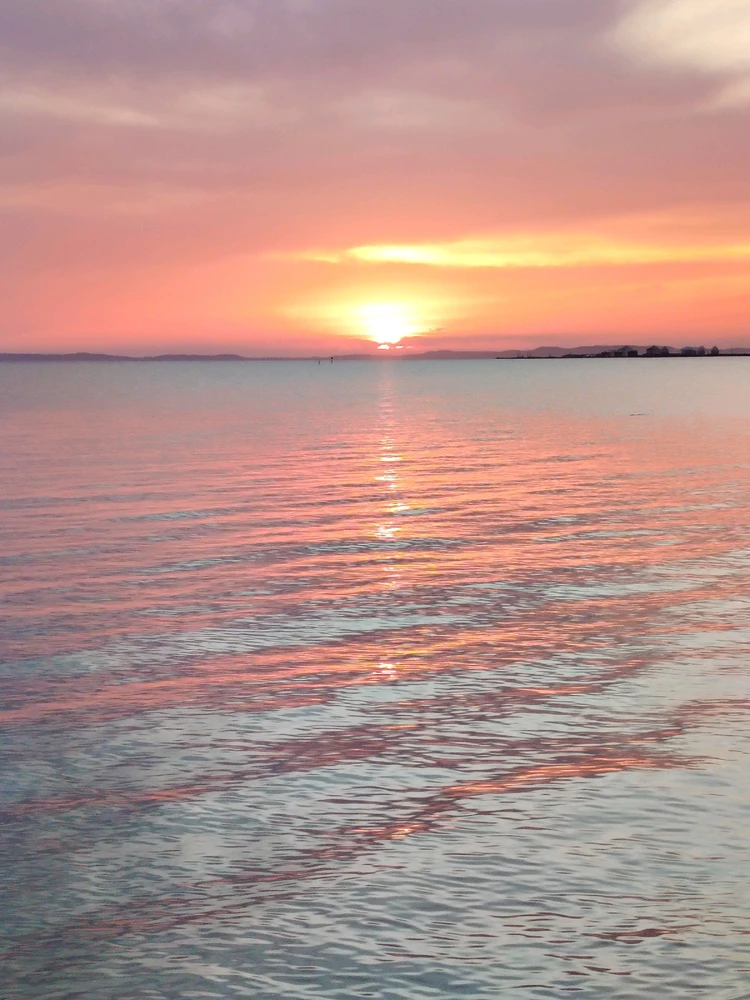 GIF ajouté par Marc