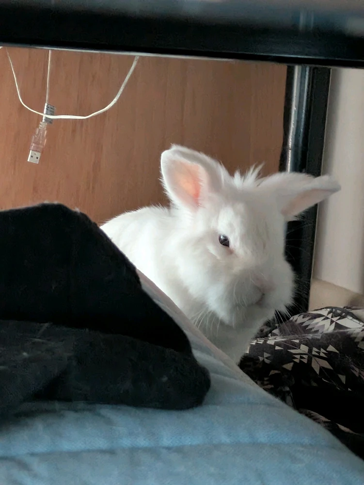 Image uploaded by Kathi