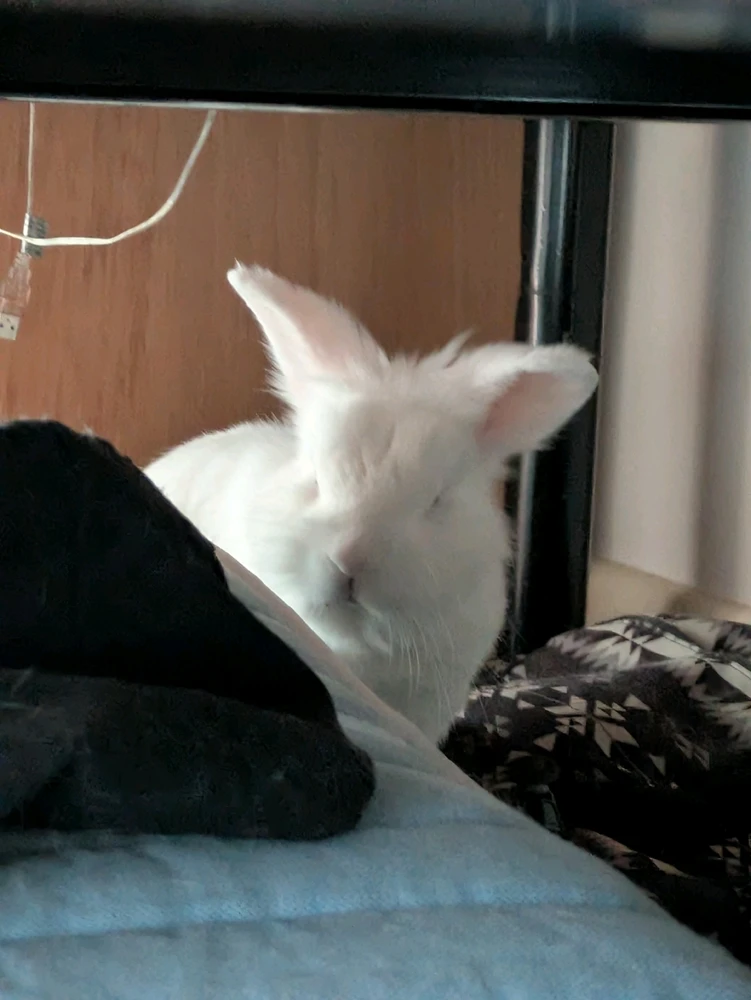 Image uploaded by Kathi