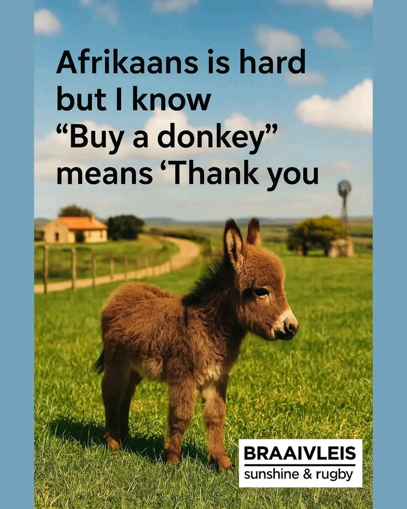 GIF opgelaai deur Susieq