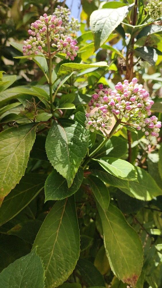 GIF uploaded by Pauline