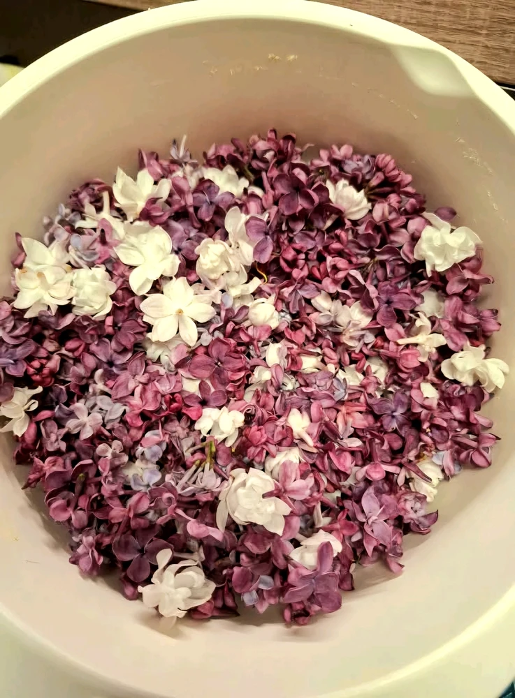 Bild hochgeladen von Rosario