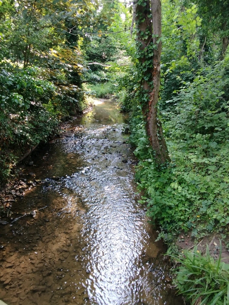 Image ajoutée par Coralie