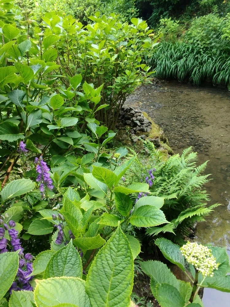 Image ajoutée par Coralie