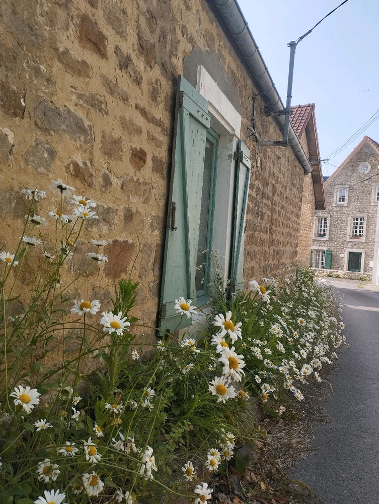 Image ajoutée par Coralie