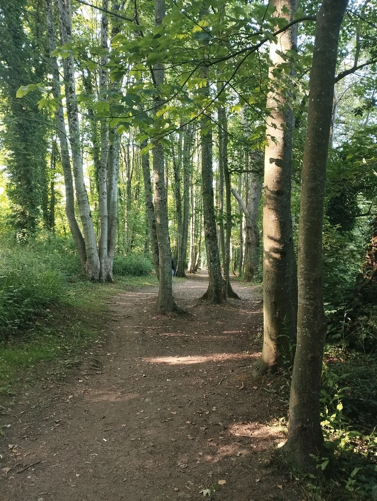 Image ajoutée par Coralie