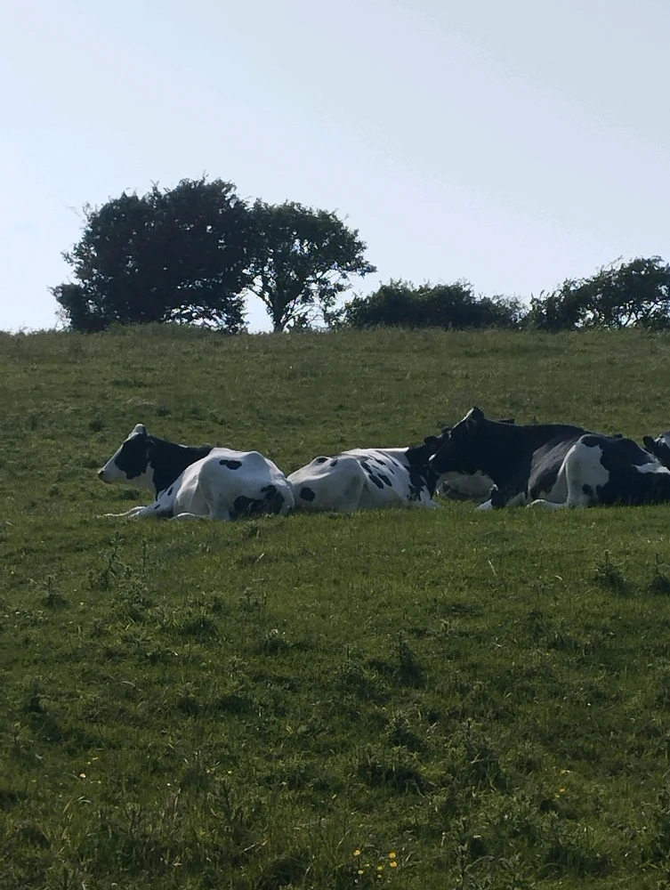 Image ajoutée par Coralie