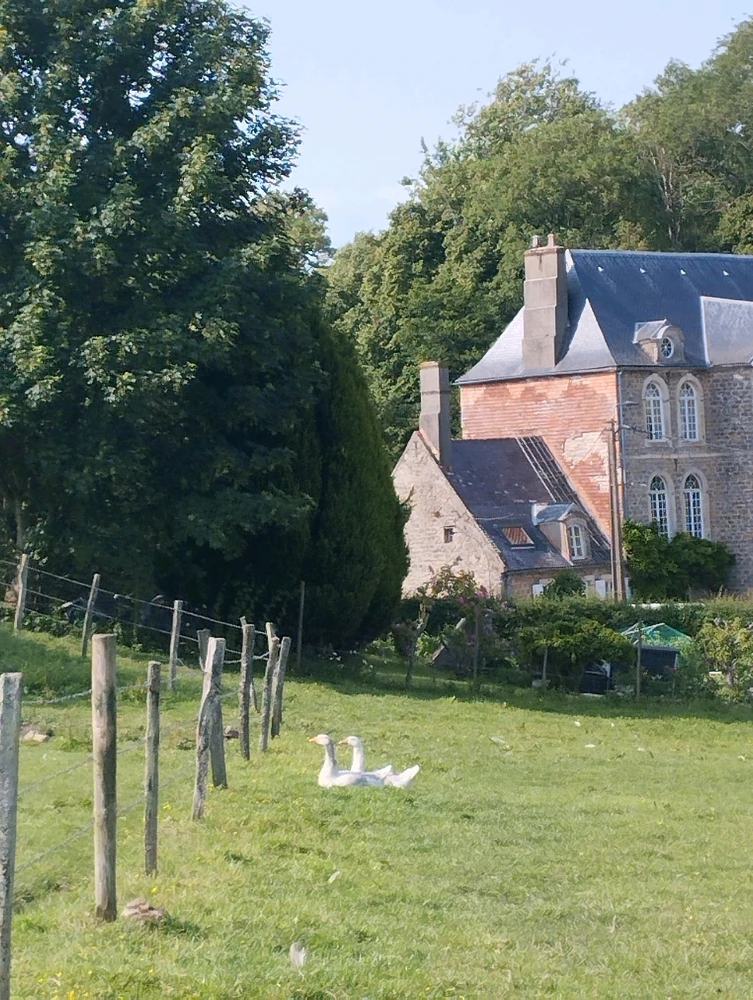 Image ajoutée par Coralie