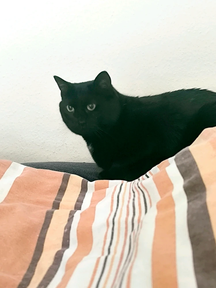 Bild hochgeladen von Nastja