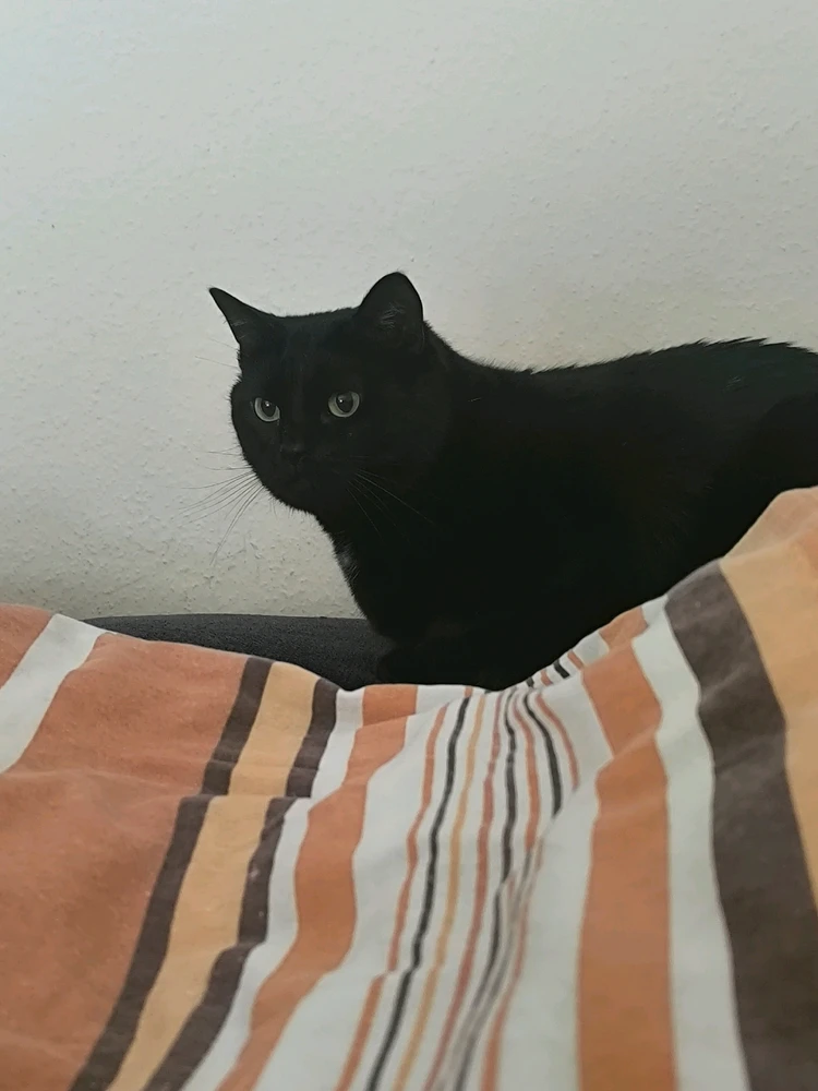 Bild hochgeladen von Nastja