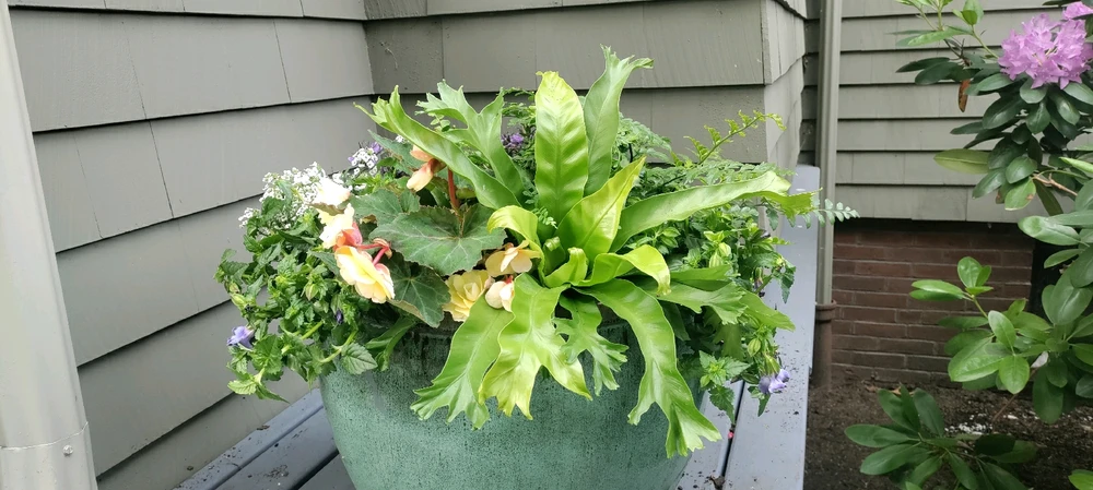 GIF uploaded by Joshua