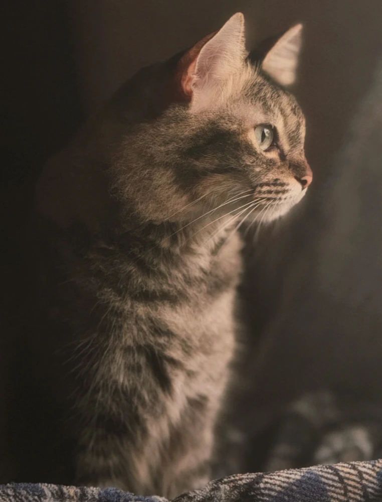 GIF uploaded by Crisse