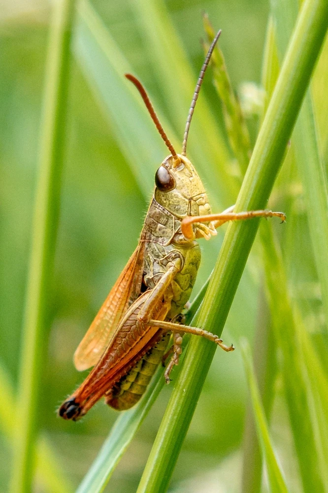 Bild hochgeladen von Sarah