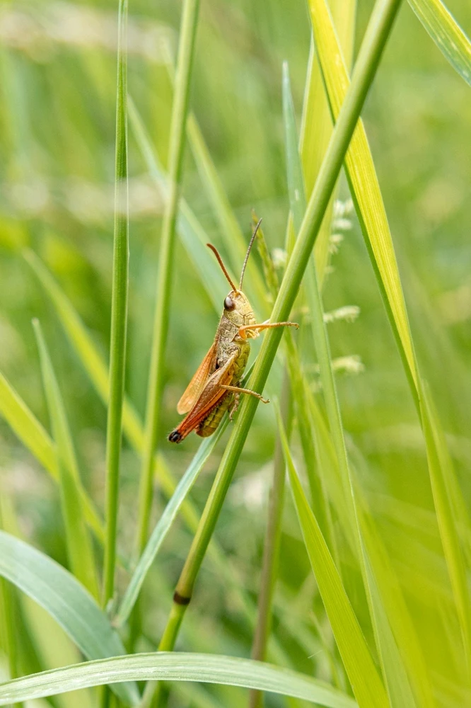 Bild hochgeladen von Sarah