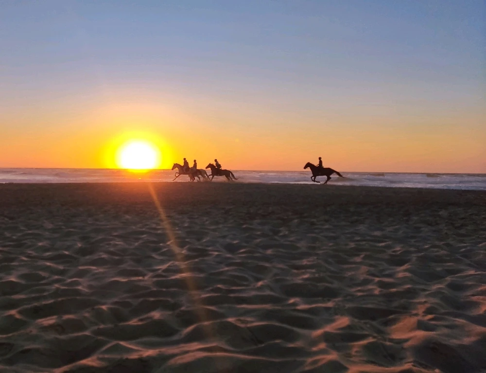 In the desert you can remember your name..