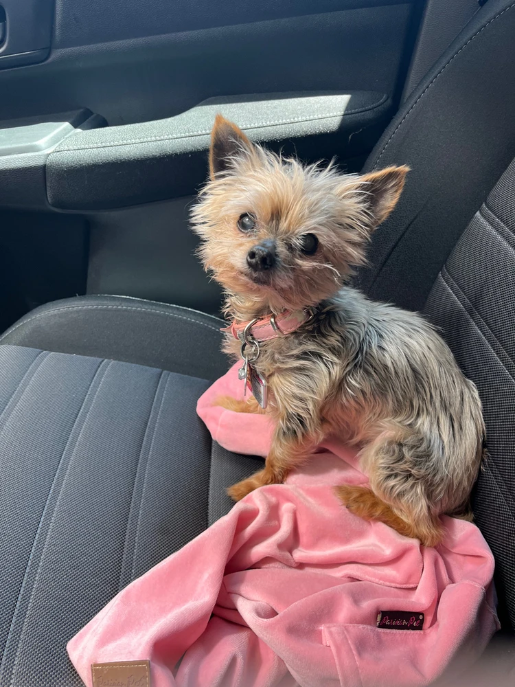 GIF uploaded by Rikida