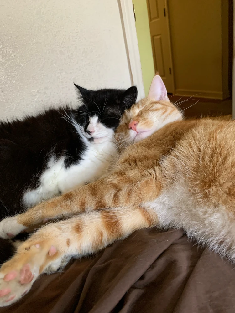 GIF uploaded by Kevin