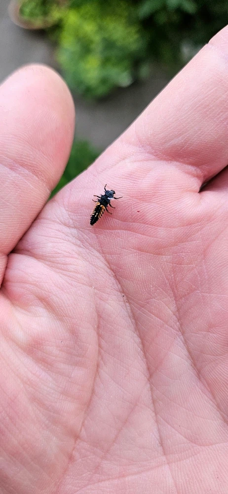 Bild hochgeladen von Tom