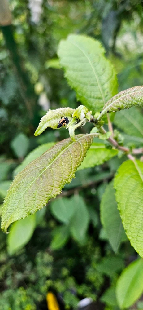 Bild hochgeladen von Tom