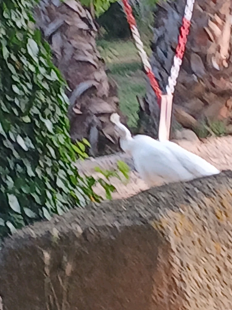 Image ajoutée par Rick