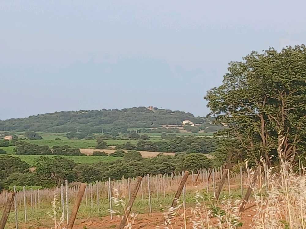 Image ajoutée par Rick