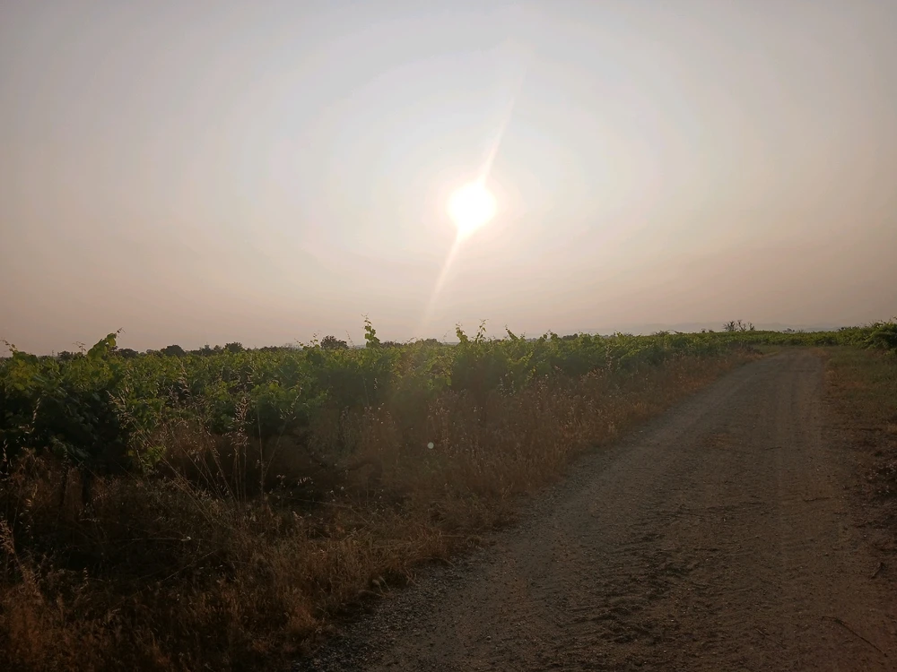 Image ajoutée par Rick