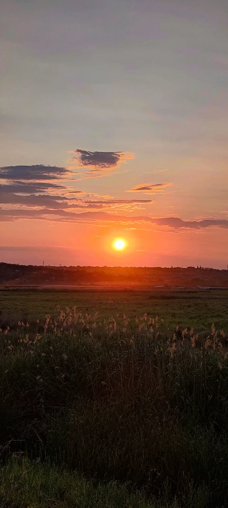 Image uploaded by Лидия