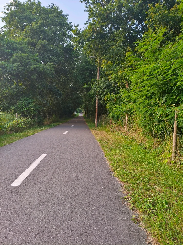 GIF enviado por Roberto