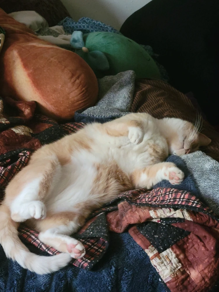GIF uploaded by El