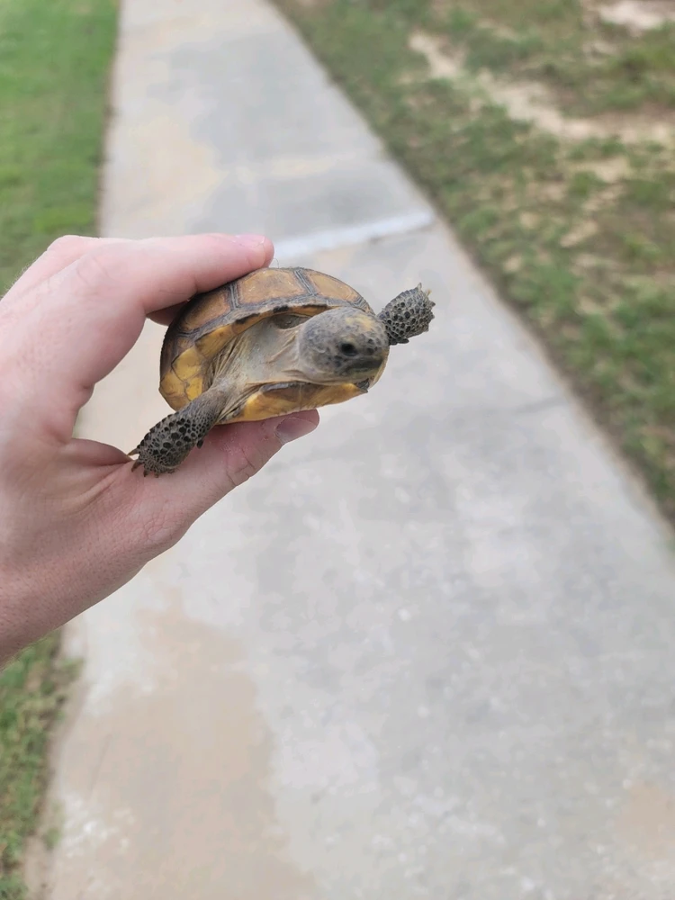 GIF uploaded by Wesley